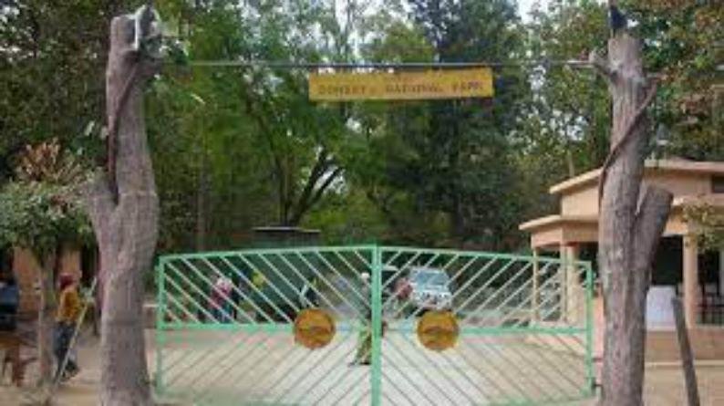 दिवाली को लेकर कॉर्बेट लैंडस्केप में हाई अलर्ट घोषित किया गया