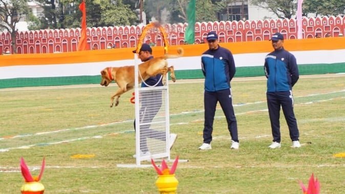 राज्य स्थापना दिवस पर परेड में कुत्ते ठेंगा” का करतब
