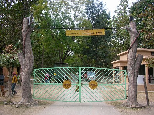 कॉर्बेट के बफर जोन में निर्माण पर एनटीसीए का नोटिस, वन विभाग से जवाब तलब