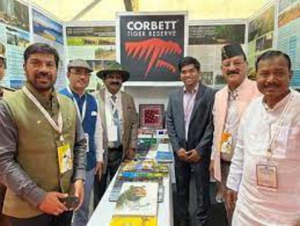 वाइल्ड लाइफ इंस्टीट्यूट ऑफ इंडिया ने बाघों की संख्या की जांच पड़ताल की