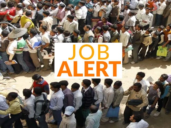 CG Job News; जांजगीर चांपा के युवाओं को मिलेगा जॉब: 15 फरवरी को होगा प्लेसमेंट कैम्प, 10वीं-12वीं पास करें आवेदन…