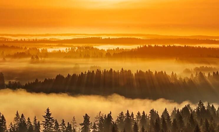 29 February 2024 daily Panchang In Hindi:- :-आज 29 फरवरी 2024 गुरुवार  का दिन कैसा मुहूर्त रहेगा, देखें NPG पर दैनिक पंचांग