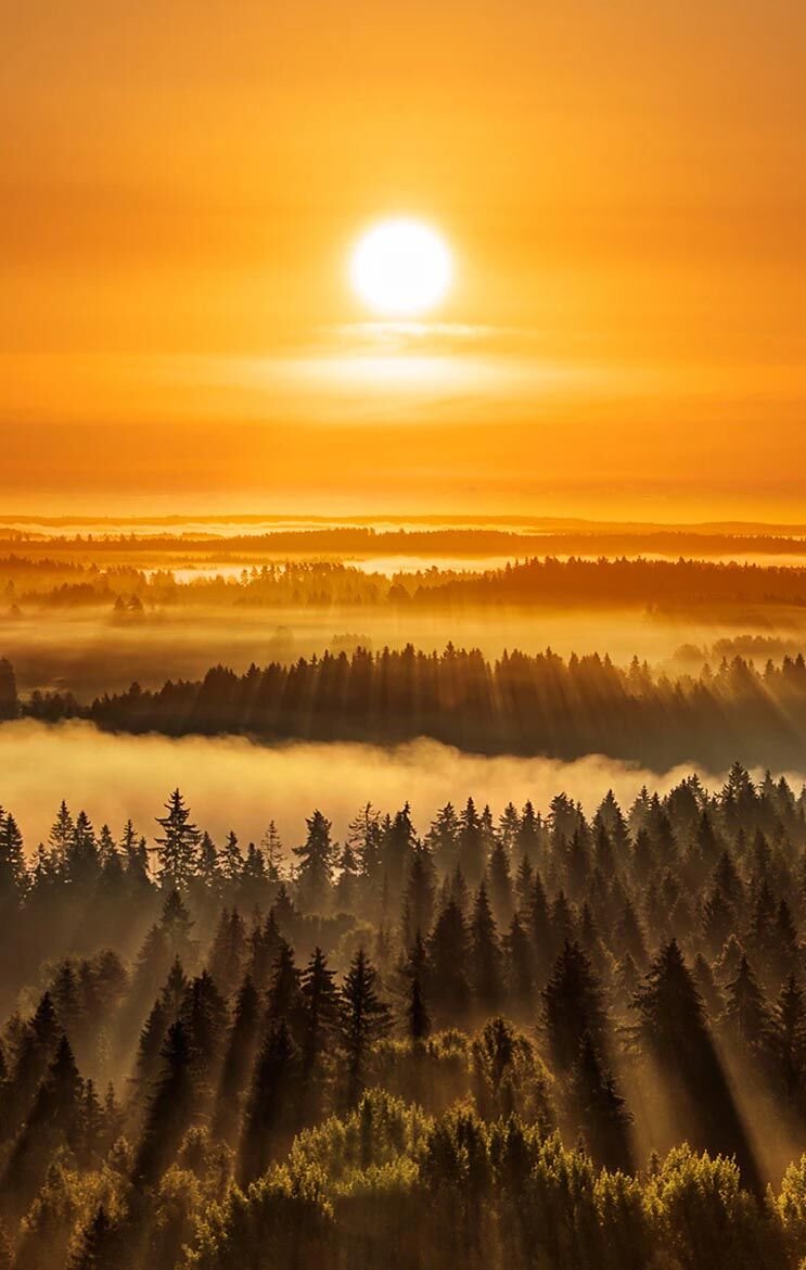 29 February 2024 daily Panchang In Hindi:- :-आज 29 फरवरी 2024 गुरुवार  का दिन कैसा मुहूर्त रहेगा, देखें NPG पर दैनिक पंचांग