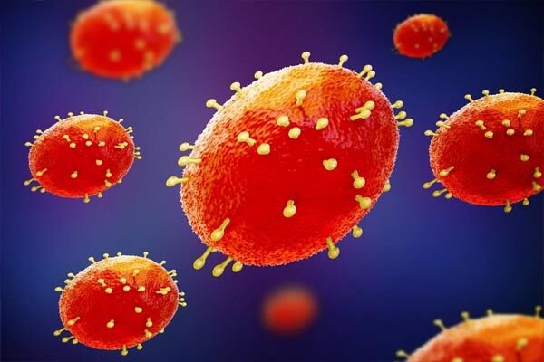 Mpox Virus : मस्तिष्क की कोशिकाओं को प्रभावित करता है एमपॉक्स वायरस : स्टडी