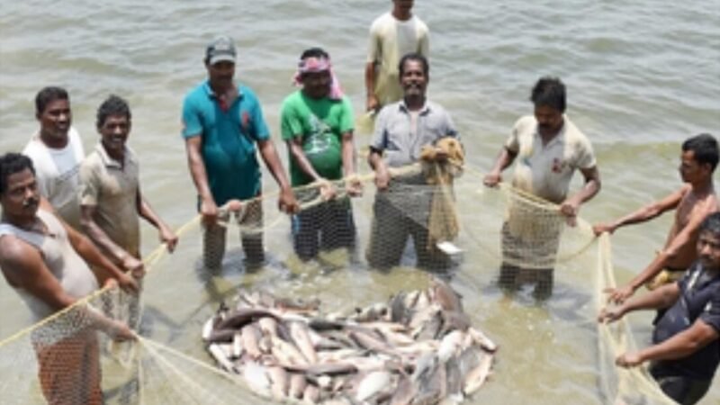 Fishermen on E-Market Platform: मछुआरों के लिए सौगात, ई-मार्केट प्लेटफॉर्म पर लाने के लिए सरकार ने की पहल, ओएनडीसी को किया शामिल