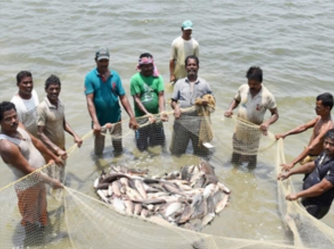 Fishermen on E-Market Platform: मछुआरों के लिए सौगात, ई-मार्केट प्लेटफॉर्म पर लाने के लिए सरकार ने की पहल, ओएनडीसी को किया शामिल