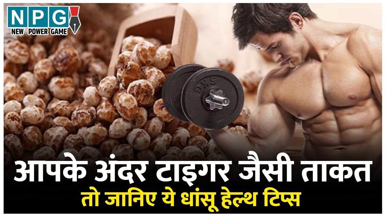 Tiger Nuts benefits And Side Effects: आपके अंदर टाइगर जैसी ताकत लाएंगे टाइगर नट्स, मिलेंगे खूब सारे ज़रूरी विटामिन और मिनरल्स, बीमारियां रहेंगी दूर…