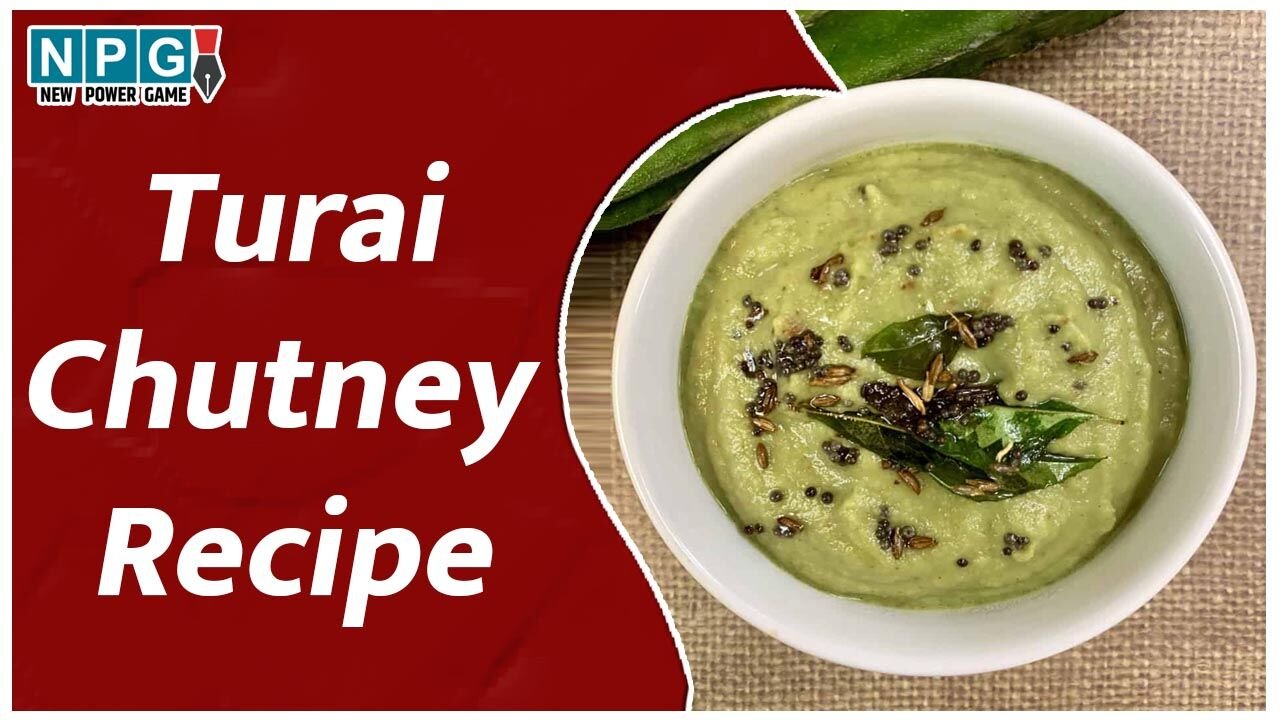 Turai Chutney Recipe: आपने तुरई की सब्जी तो खाई होगी, पर शायद 'तुरई की चटनी' नहीं, बनाकर देखिए, आंध्रप्रदेश की है यह खास रेसिपी…