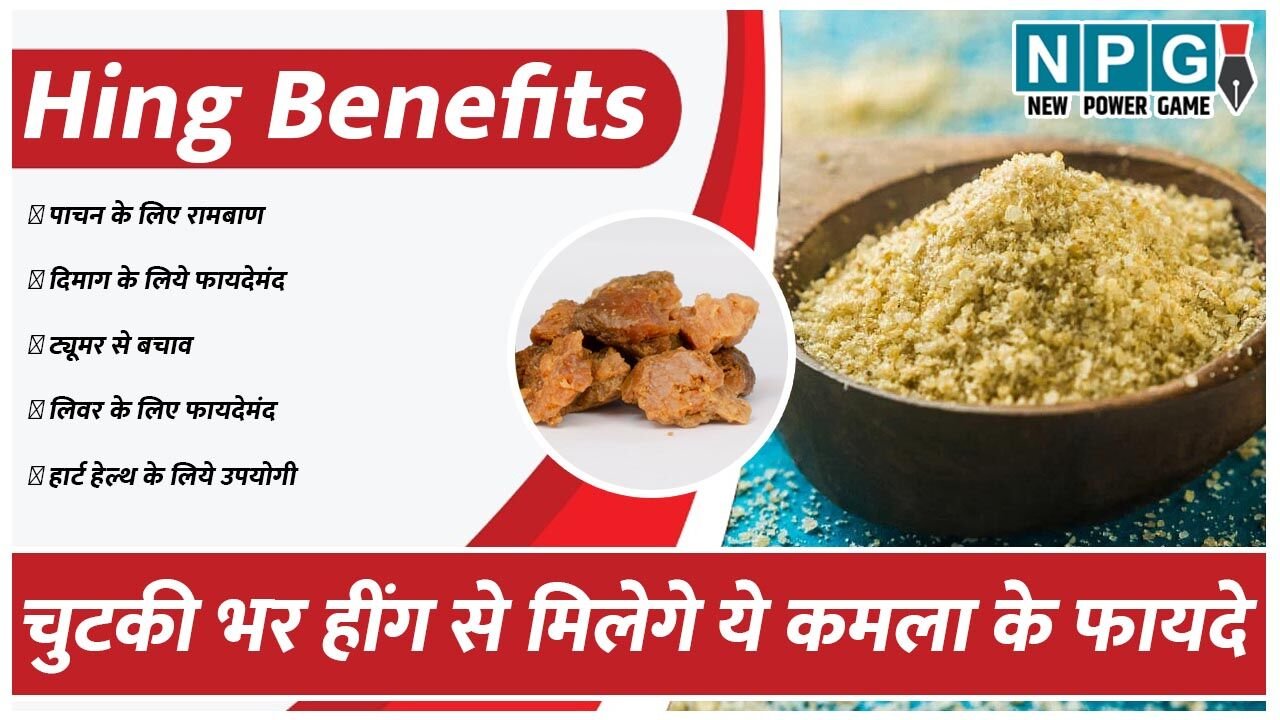 Hing Benefits: चुटकी भर हींग से मिले पेट से लेकर दिमागी समस्याओं तक से राहत, लेकिन तेज गर्म तेल में तड़का देकर गंवा रहे सारे फायदे, ये है इस्तेमाल का सही तरीका…