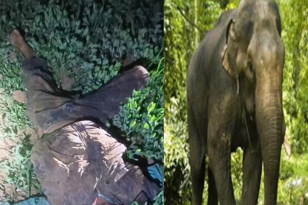 MP News: अनूपपुर में हाथी के हमले से युवक की मौत पर भड़के ग्रामीण, वन विभाग की टीम पर किया हमला, फायरिंग में दो घायल