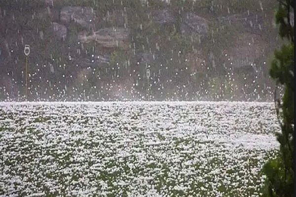 MP Weather Update: आज इन जिलों में होगी झमाझम बारिश, इन जिलों में बारिश और ओले का अलर्ट जारी