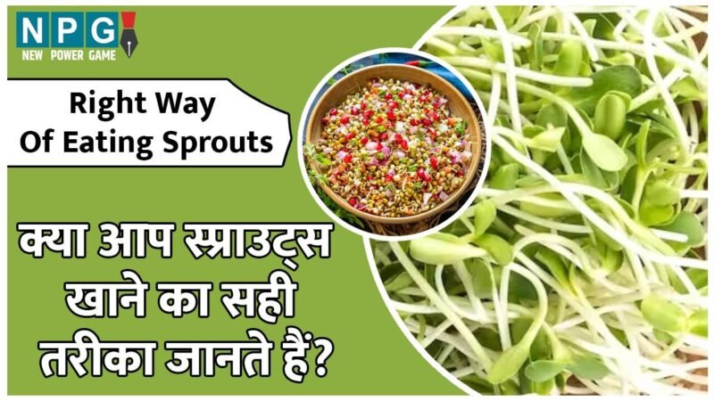 Right Way Of Eating Sprouts: क्या आप स्प्राउट्स खाने का सही तरीका जानते हैं? यहां जानिए ज़रूरी बातें…