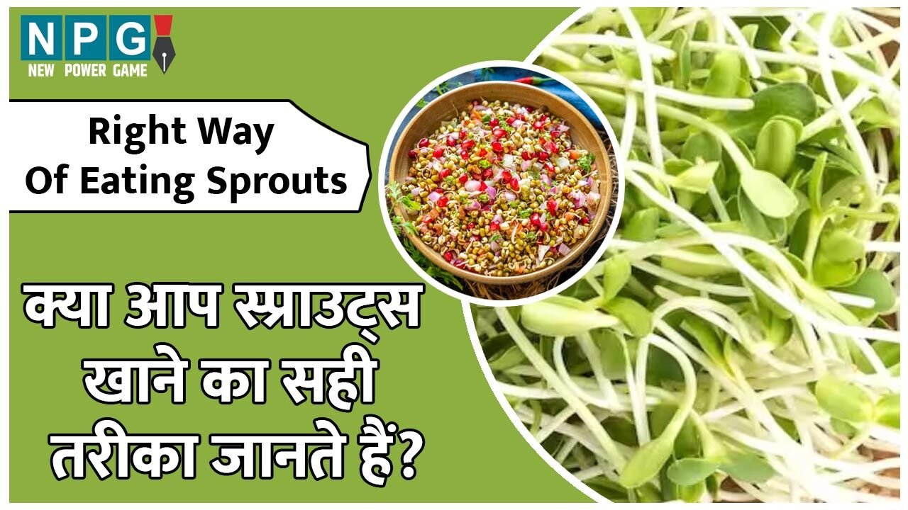 Right Way Of Eating Sprouts: क्या आप स्प्राउट्स खाने का सही तरीका जानते हैं? यहां जानिए ज़रूरी बातें…