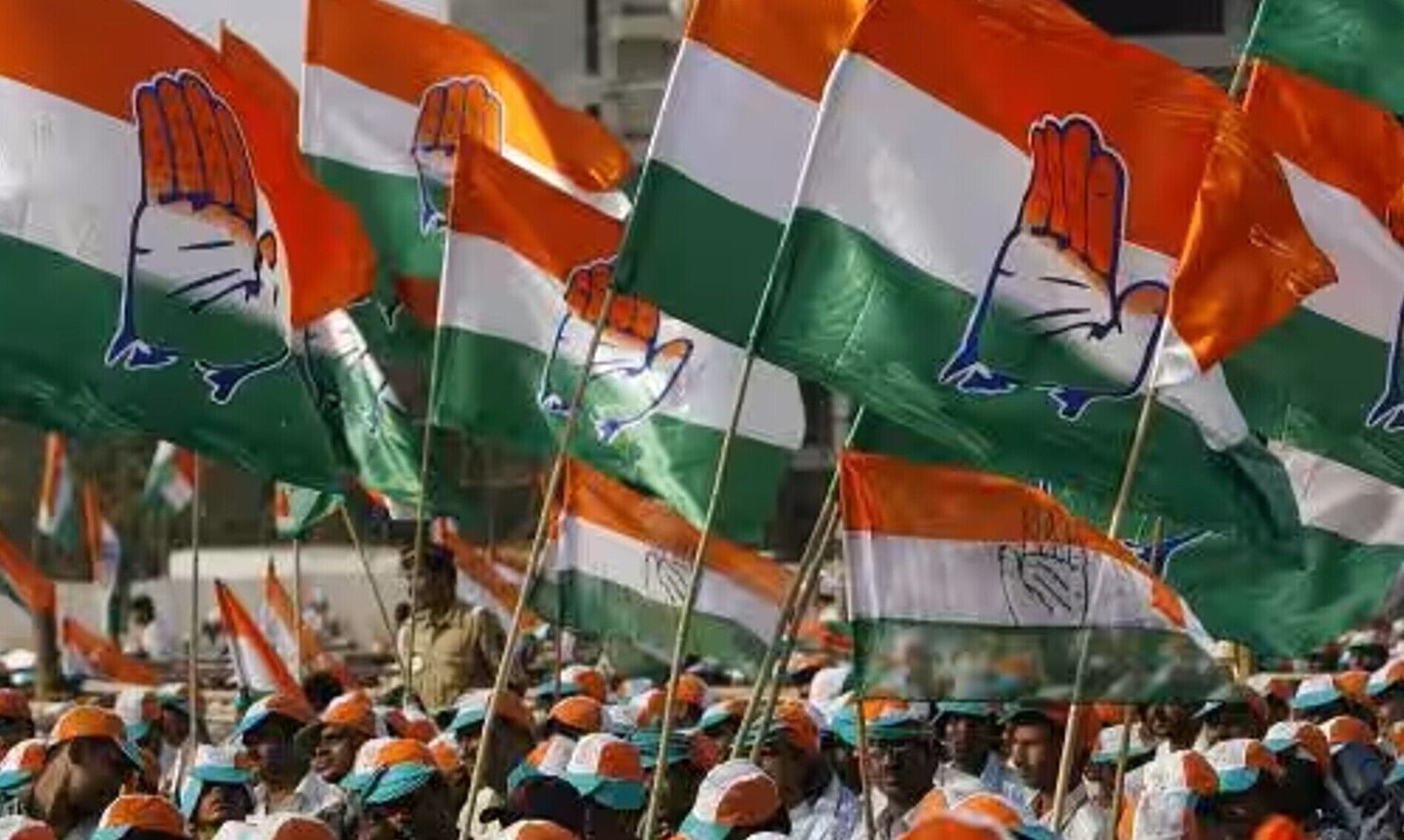 Loksabha Chunav 2024: CG कांग्रेस को लोकसभा चुनाव के लिए नहीं मिल रहे प्रत्‍याशी!: बीजेपी के इस दावे में कितना है दम, देखें टिकट के दावेदारों की सूची