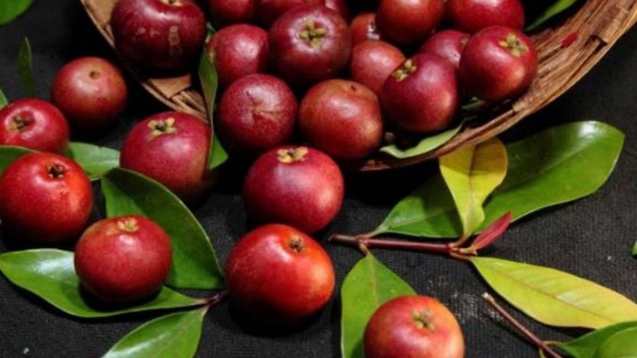 Benefits of Kokum : कोकम क्या है, जानते हैं ये कैसे है आपके लिए रामबाण