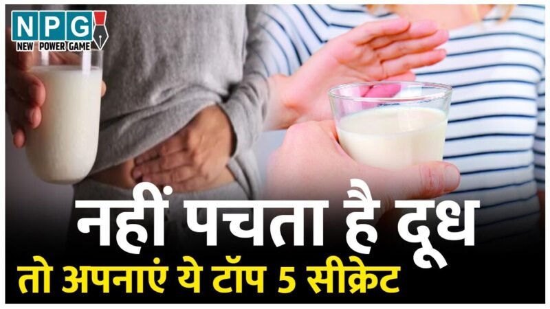 Top 5 Vegetarian Sources Of Calcium: दूध नहीं पचता तो ये टाॅप 5 वेजिटेरियन कैल्शियम रिच सोर्स हैं खास आपके लिए, बढ़ती उम्र में भी हड्डियां रहेंगी मज़बूत…