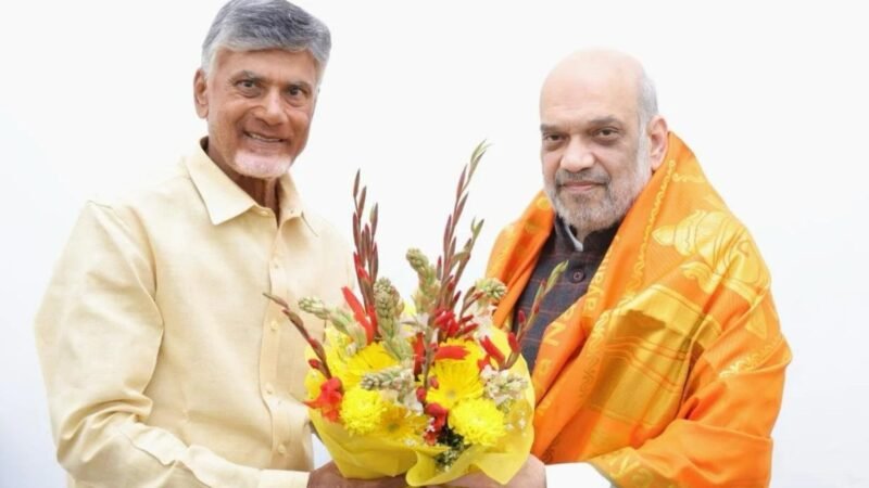 Lok Sabha Election 2024: 6 साल बाद TDP की NDA में वापसी तय, जानिए कैसे होगा सीटों को बटवारा?