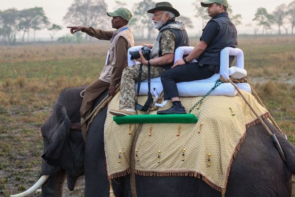 देखें फोटो: पीएम मोदी सुबह-सुबह हाथी पर सवार होकर जंगल सफारी की सैर पर निकले, जानिए काजीरंगा में कौन-कौन से जानवर हैं?