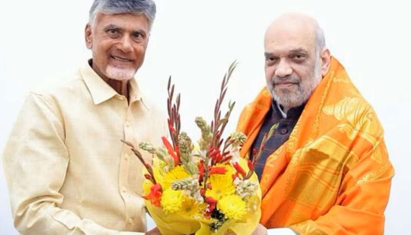 Andhra Pradesh Elections: आंध्र में NDA का सीट शेयरिंग फाइनल, 17 सीटों पर TDP तो 6 पर BJP लड़ेगी चुनाव