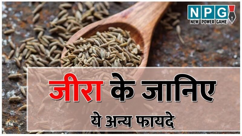 Cumin Seeds Benefits: वजन कम करना हो या अस्थमा और डायबिटीज़ से चाहिए राहत…मदद करेगा जीरा, अन्य फायदे भी जानिए…