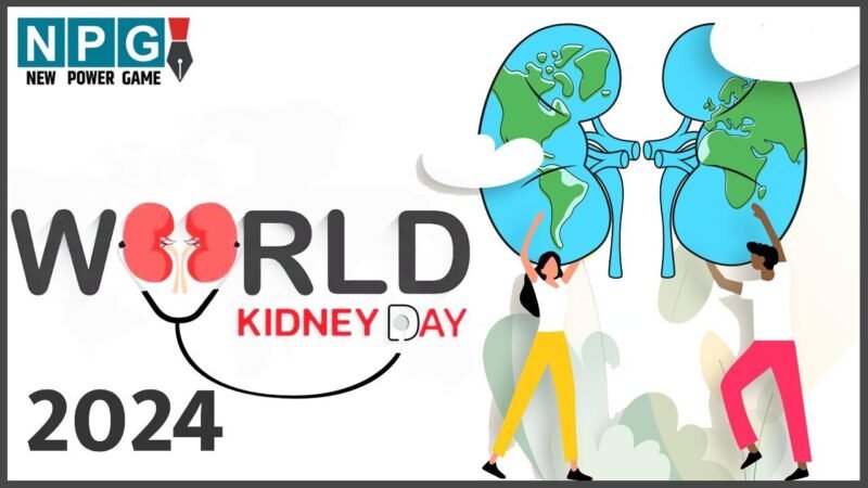 World Kidney Day 2024: किडनी को रिपेयर करते हैं ये फूड आइटम्स, अर्ली स्टेज पर है डैमेज तो कर लें खाने में इन्हें शामिल, स्वस्थ रहेगी किडनी…