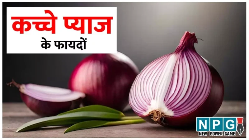 Raw Onion Benefits: कच्चे प्याज के इन खास 15 फायदों को जान जाएंगे तो और बढ़ जाएगा खाने का आनंद…