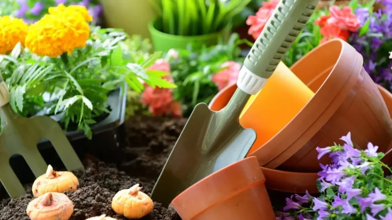 Gardening season Start : आया बागवानी का मौसम, पर करने से पहले यहाँ जाने "बागवानी" को लेकर सब कुछ