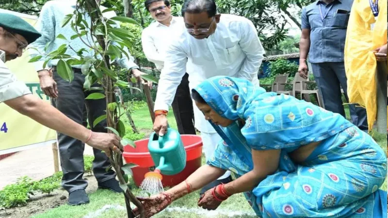 CM विष्णुदेव की विशेष पहल: बस्तर संभाग के 7 जिलों में 5.62 लाख से अधिक पौधरोपण के लिए बनाई गई रणनीति…