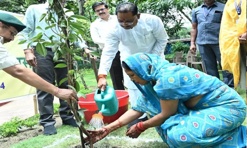CM विष्णुदेव की विशेष पहल: बस्तर संभाग के 7 जिलों में 5.62 लाख से अधिक पौधरोपण के लिए बनाई गई रणनीति…