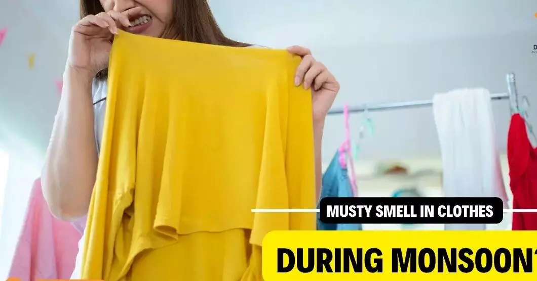Bad Smell of Clothes in Monsoon : मानसून में कपड़ों की दुर्गन्ध दूर करेंगे "तेज पत्ता और लौंग-इलायची"