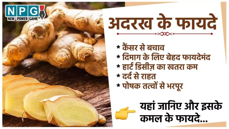 Ginger Health Benefits: आधा इंच का अदरख का टुकड़ा करेगा कमाल, मोटापे से लेकर इन बड़ी-बड़ी समस्याओं से मिलेगी राहत…