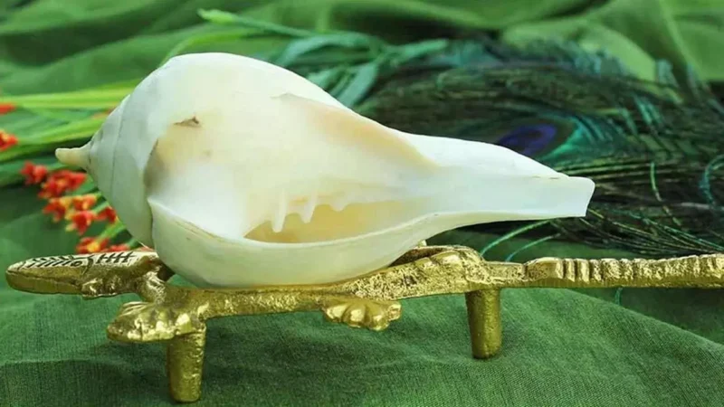 Conch Astro Tips :  क्या आपके पूजा कमरे में भी है शंख ?…तो सप्ताह के सातों दिन करें ये उपाय