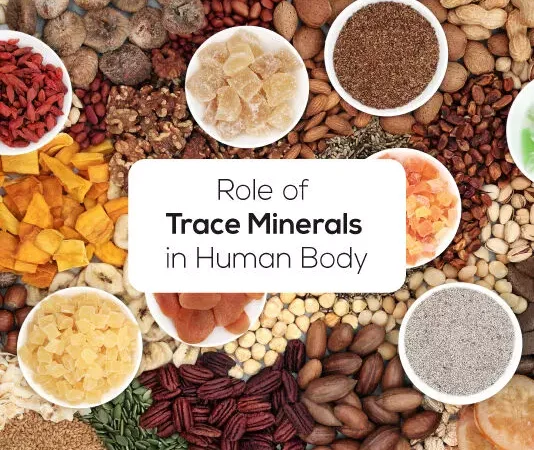 Trace Minerals : क्या आप जानते हैं ट्रेस मिनरल्स के बारे में… और शरीर के लिए है कितना जरूरी
