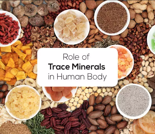 Trace Minerals : क्या आप जानते हैं ट्रेस मिनरल्स के बारे में… और शरीर के लिए है कितना जरूरी