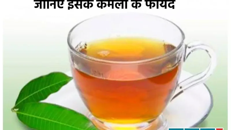 Mango Leaves Water Benefits: आम के पत्तों को उबाल-छान कर पिएं पानी, इन विटामिनों की गोलियों की नहीं पड़ेगी ज़रूरत, कई बीमारियों से भी मिलेगी राहत…