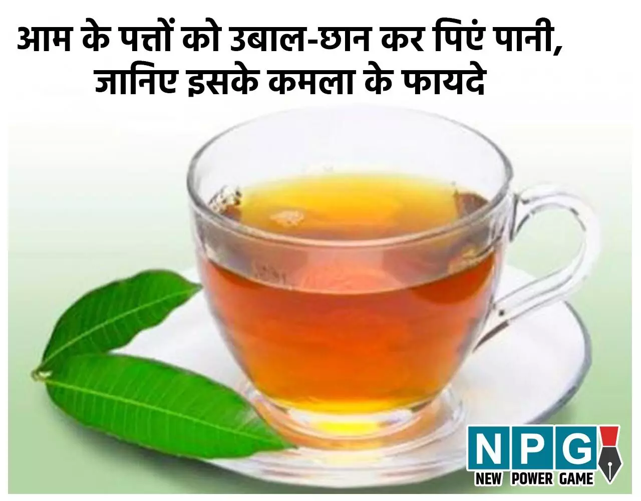 Mango Leaves Water Benefits: आम के पत्तों को उबाल-छान कर पिएं पानी, इन विटामिनों की गोलियों की नहीं पड़ेगी ज़रूरत, कई बीमारियों से भी मिलेगी राहत…