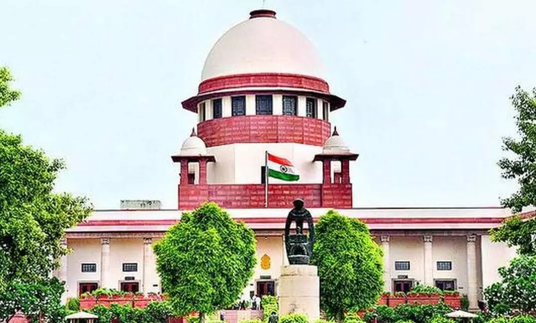 Chhattisgarh News: सुप्रीम कोर्ट से बीएड डिग्रीधारकों को झटका: कोर्ट ने प्राइमरी स्कूल के लिए डीएलएड डिप्लोमाधारी को ठहराया सही