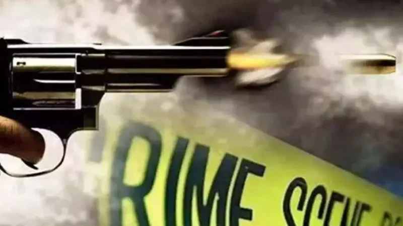 Saharsa Crime News: मेला देखकर लौट रहे 3 बच्चों को युवक ने मारी गोली, इलाके में दहशत का माहौल