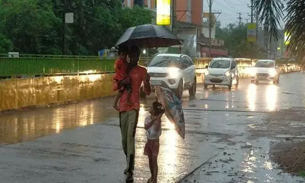 CG Rain News: छत्तीसगढ़ में 1 जून से 9 जुलाई तक जानिए कितनी हुई बारिश?.. जिलेवार देखें