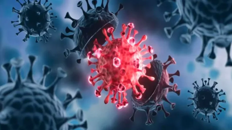 CG Corona News: छत्तीसगढ़ में फिर लौटा कोरोना! यहां मिला संक्रमित मरीज, नही मिली ट्रैवल हिस्ट्री…