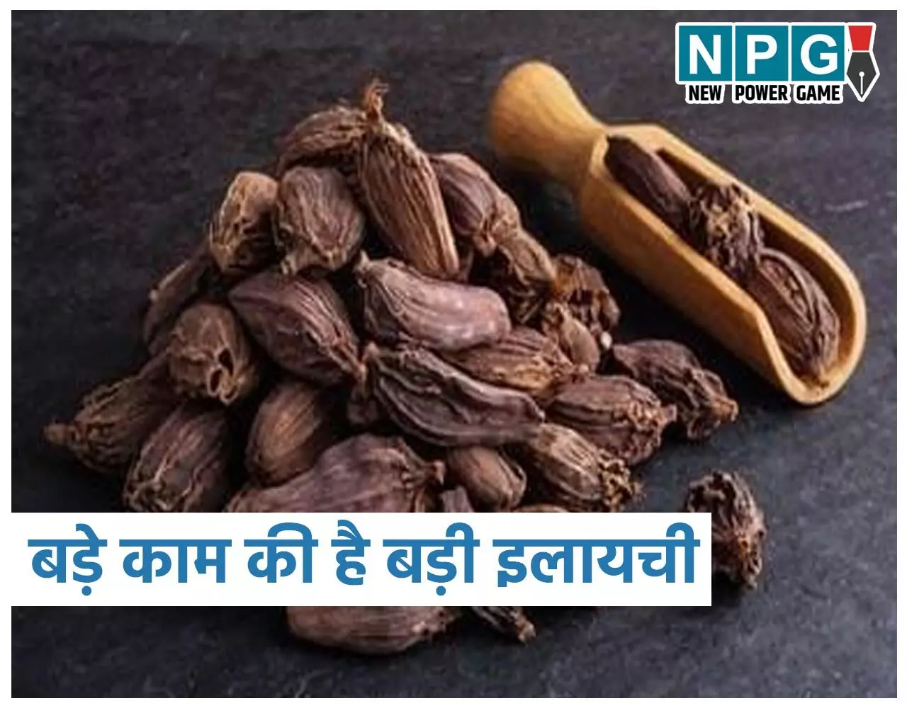 Black Cardamom Benefits: बड़े काम की है बड़ी इलायची, जानिये स्वास्थ्य के लिये इसके बड़े-बड़े फायदे…