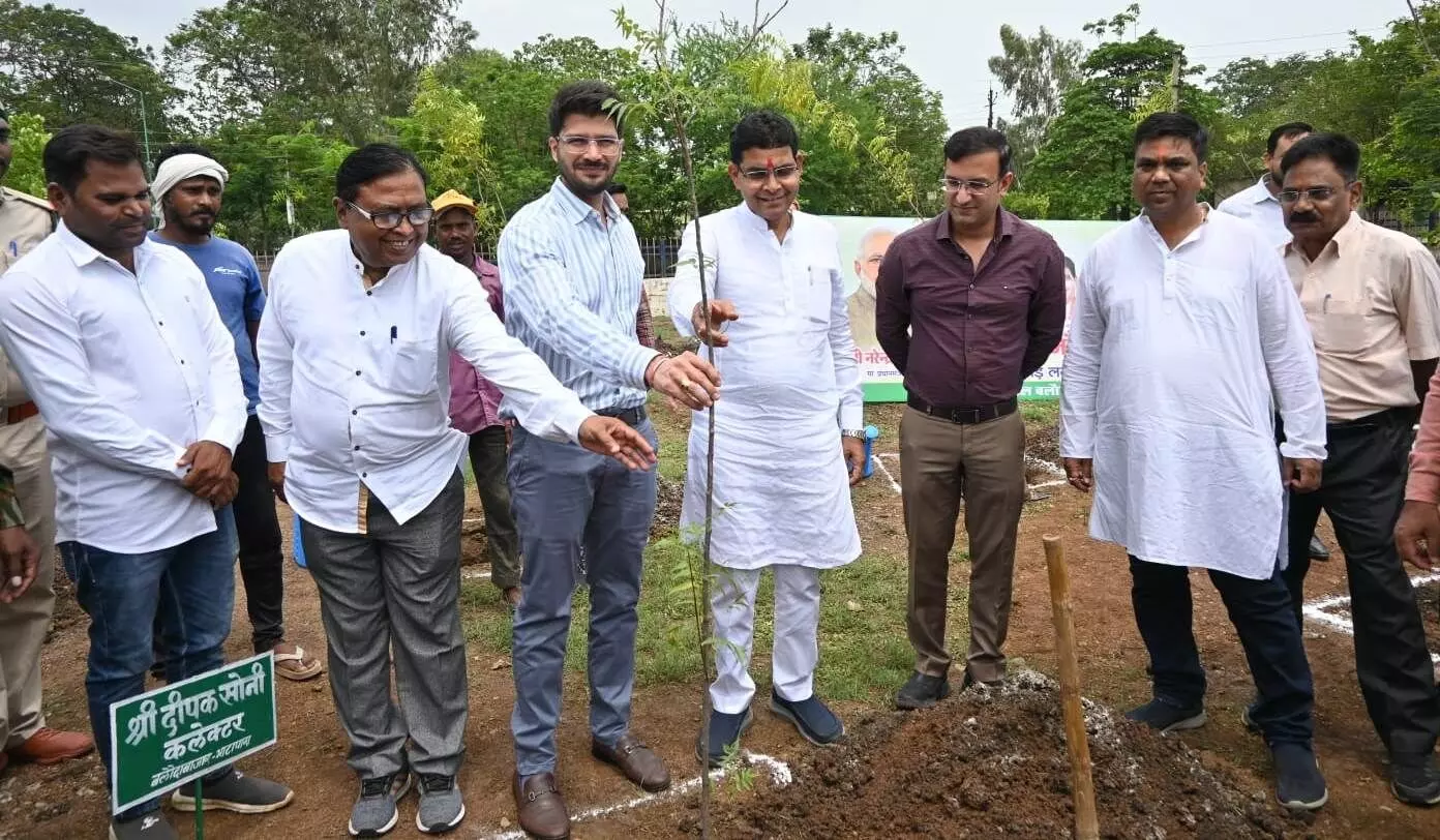 Raipur News: राजस्व मंत्री ने पेड़ लगाकर ‘एक पेड़ अपनी मां के नाम अभियान‘ की शुरुआत
