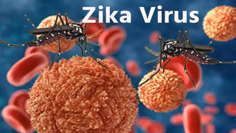 Zika Virus: जीका वायरस को लेकर सरकार अलर्ट, केंद्र सरकार ने राज्यों के लिए जारी की एडवायजरी