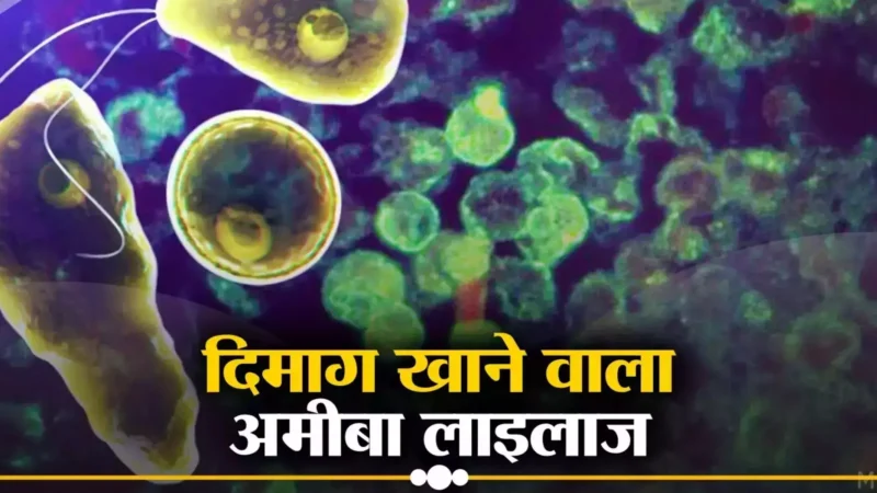 Brain Eating Amoeba: सतर्क हो जाएं, ब्रेन को खा सकता है पानी का ये कीड़ा, जानिए इस बीमारी के लक्षण और बचाव