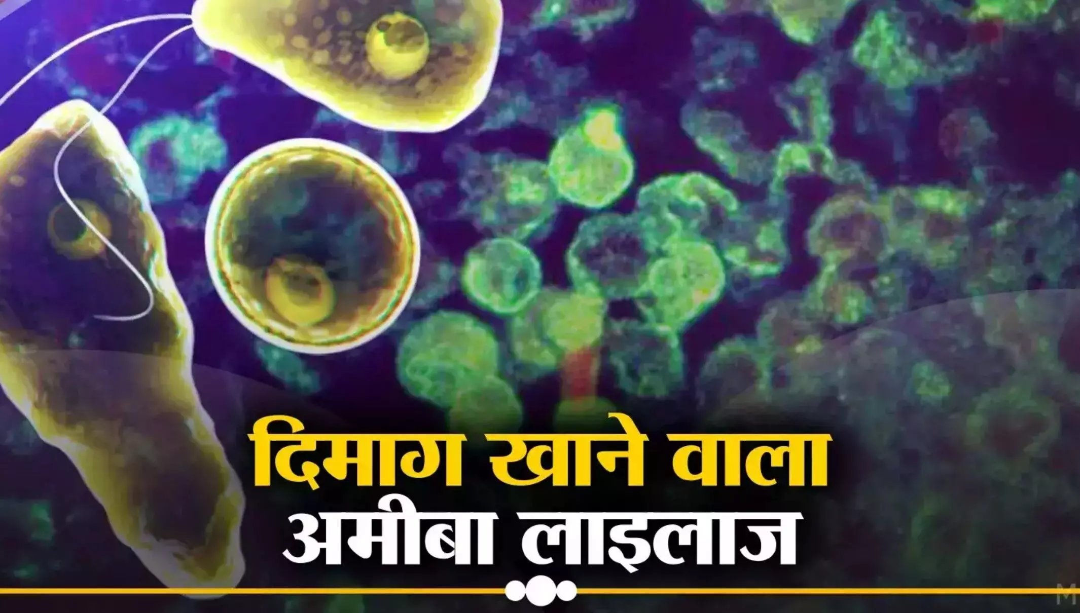 Brain Eating Amoeba: सतर्क हो जाएं, ब्रेन को खा सकता है पानी का ये कीड़ा, जानिए इस बीमारी के लक्षण और बचाव