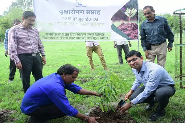 MP News: मध्य क्षेत्र विद्युत वितरण कंपनी सहित सब-स्टेशनों और रहवासी कालोनियों में रोपे गए पौधे