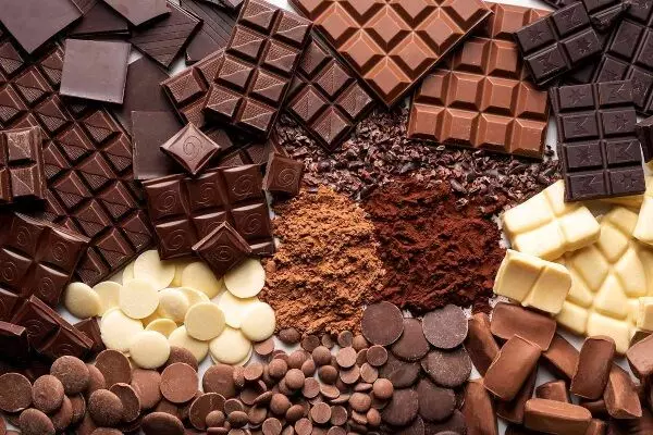 World Chocolate Day 2024: 7 जुलाई को वर्ल्ड चॉकलेट डे, जानें इस दिन को मनाने का मकसद और इतिहास, साथ ही जान लें चॉकलेट खाने के ये फायदे