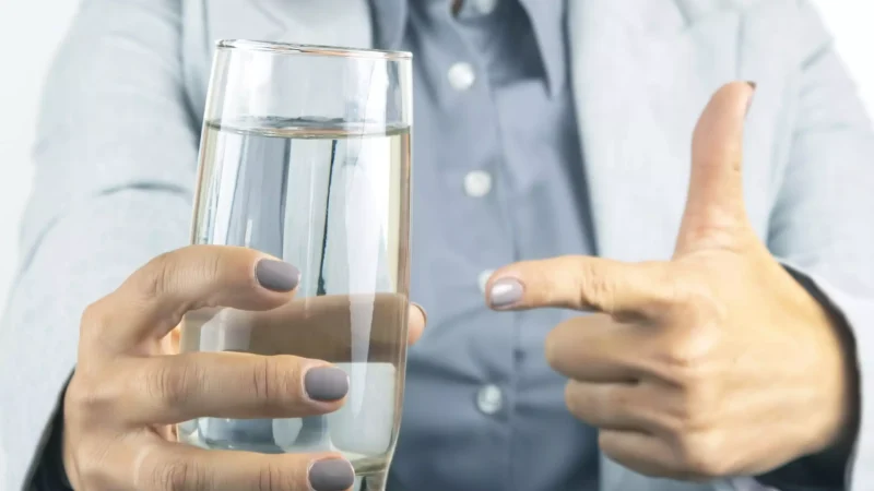 RO Water Side Effects : क्या आपको भी लगता है कि सिर्फ RO का पानी ही शुद्ध है?