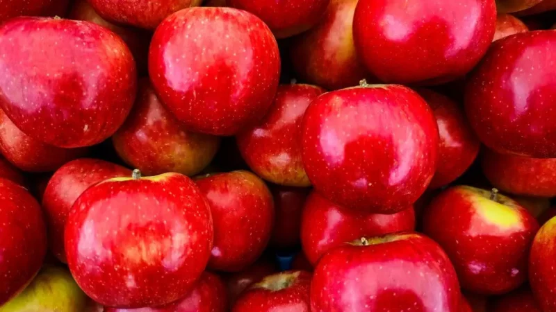 Wax on Apples : "रोज एक लाल-लाल सेब खाओ, डॉक्टर के पास जाओ", सेब में केमिकल वाले रंग और मोम की ऐसे करें जाँच