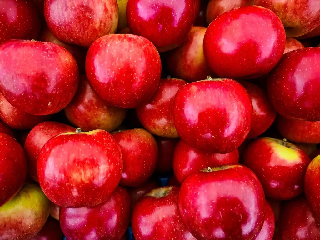 Wax on Apples : "रोज एक लाल-लाल सेब खाओ, डॉक्टर के पास जाओ", सेब में केमिकल वाले रंग और मोम की ऐसे करें जाँच